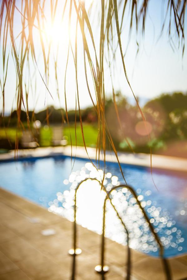 Martimi Apartments - 200M From Drapanias Beach - Pool - Hot Tub - Sauna - Bbq Кісамос Екстер'єр фото